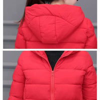 SaneShoppe - Women's Lightweight Down Cotton Hooded Jacket Warm Loose Short Outerwear