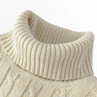 SaneShoppe-Men's Casual Turtleneck Knitted Sweater - Lightweight Ribbed Pullover for Autumn