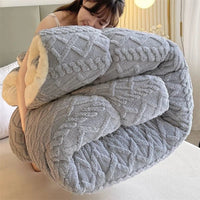 SaneShoppe - Lamb wool blanket thickened warm winter quilt with milk velvet spring autumn comforter student dormitory single double quilt