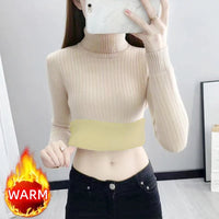 SaneShoppe-Elegant Velvet Lined Turtleneck Sweater Women Warm Winter Top