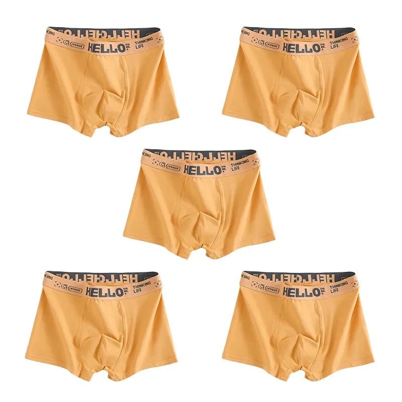 SaneShoppe - 1/5pcs Men's Underwear, Breathable Comfy Quick Drying Stretchy Boxer Trunks
