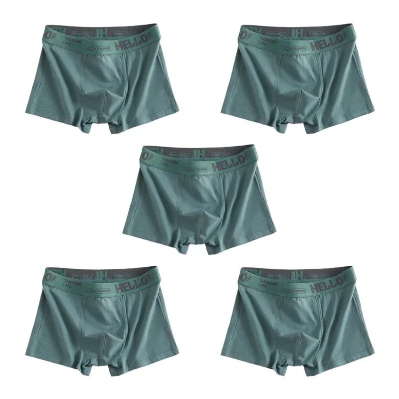 SaneShoppe 1/5pcs Men's Underwear, Breathable Comfy Quick Drying Stretchy Boxer Trunks