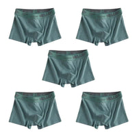 SaneShoppe 1/5pcs Men's Underwear, Breathable Comfy Quick Drying Stretchy Boxer Trunks