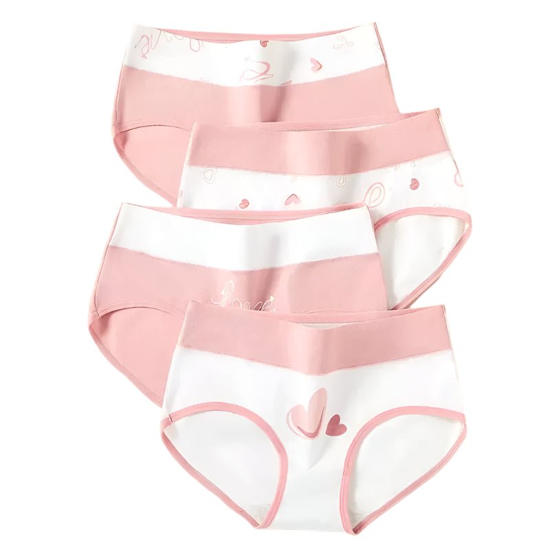 SaneShoppe 4 - Pack Women's Cotton High Waist Underwear, Sizes M - 5XL. Breathable Briefs.