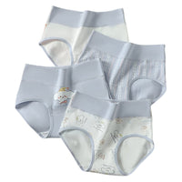 SaneShoppe - 4 - Pack Women's Plus Size Cotton Underwear Breathable Briefs