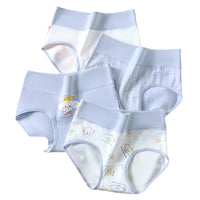 SaneShoppe - 4 - Pack Women's Plus Size Cotton Underwear Breathable Briefs