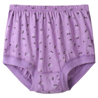 SaneShoppe - 6pcs Plus Size Women's Underwear - High Waist Cotton Briefs