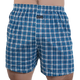 Blue Plaid