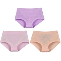SaneShoppe - Women's High Waist Lace Briefs - 3 - Pack, Plus Size, Modal Fabric