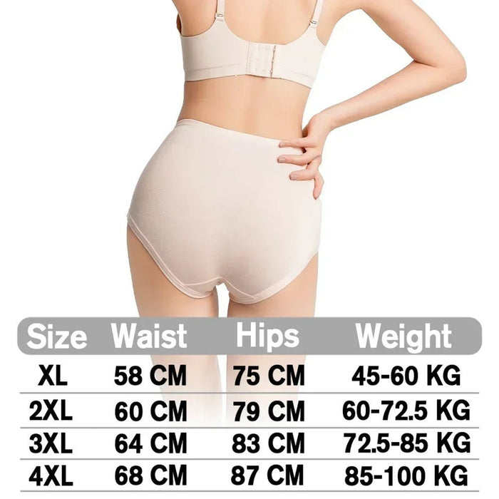 SaneShoppe - Women's High Waist Lace Briefs - 3 - Pack, Plus Size, Modal Fabric