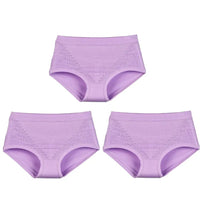 SaneShoppe - Women's High Waist Lace Briefs - 3 - Pack, Plus Size, Modal Fabric